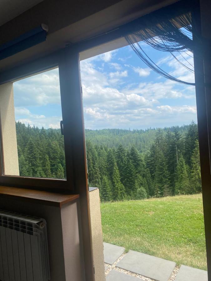 Apartament W Gorach Gorce Новий Тарг Екстер'єр фото